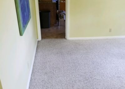 Home Carpet Cleaning LaVista