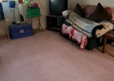 Clean carpet in Gretna