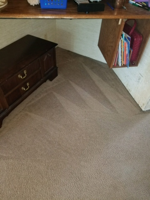 Clean carpet Elkhorn