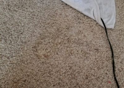 Stain removal from Carpet