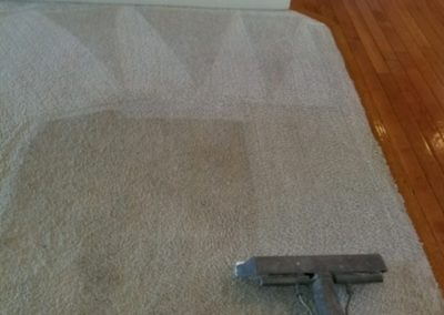 Carpet Cleaning Omaha