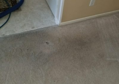 Residential Carpet Cleaning Ralston