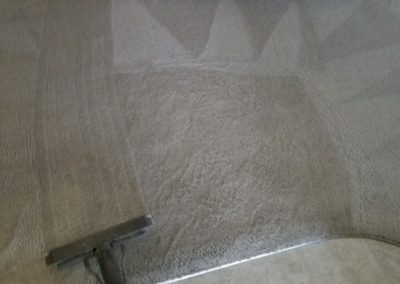 Residential Carpet and Vinyl cleaning Papillion