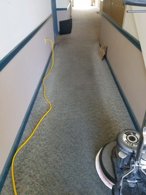 Commercial Caret Cleaning