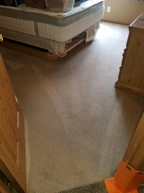 Clean Carpet LaVista