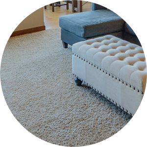 Couch and Ottoman in carpeted living room near Omaha, Nebraska